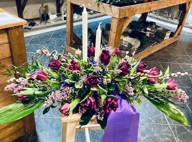 479280021_1137657321173741_2402094966108397406_n