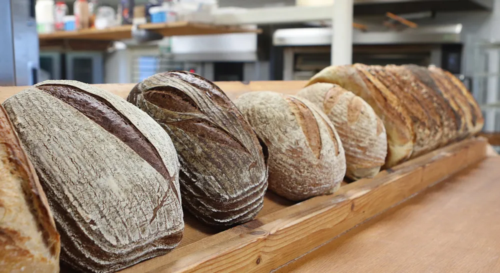 252018 Surdegsbageriet i Ramlösa_04