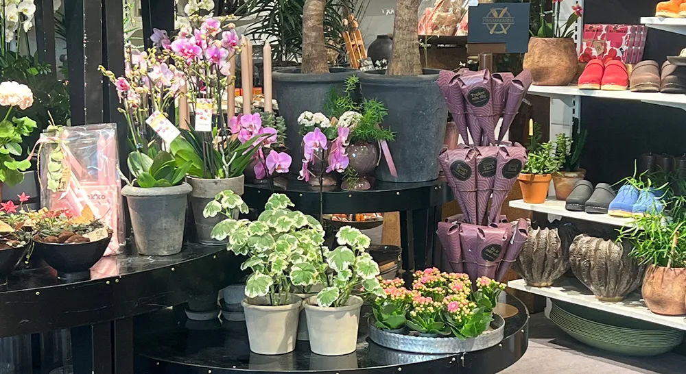 252034 MD Inredning & Flora AB_01