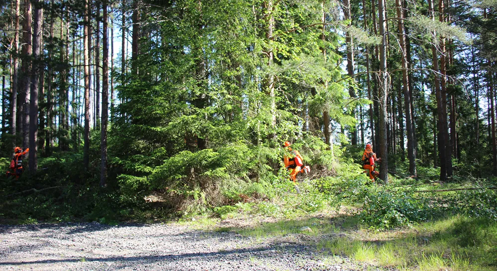 253030 Bennys Skogsvård AB_02