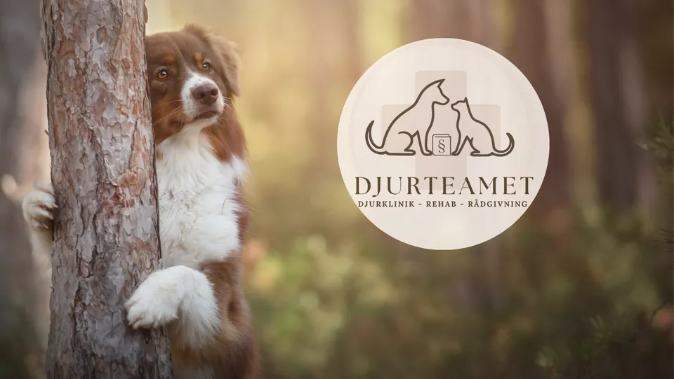 Djurteamet - logga