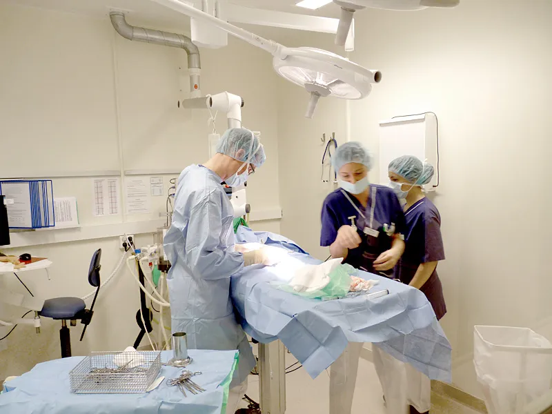 124001.sodradjursjukhuset.bild1