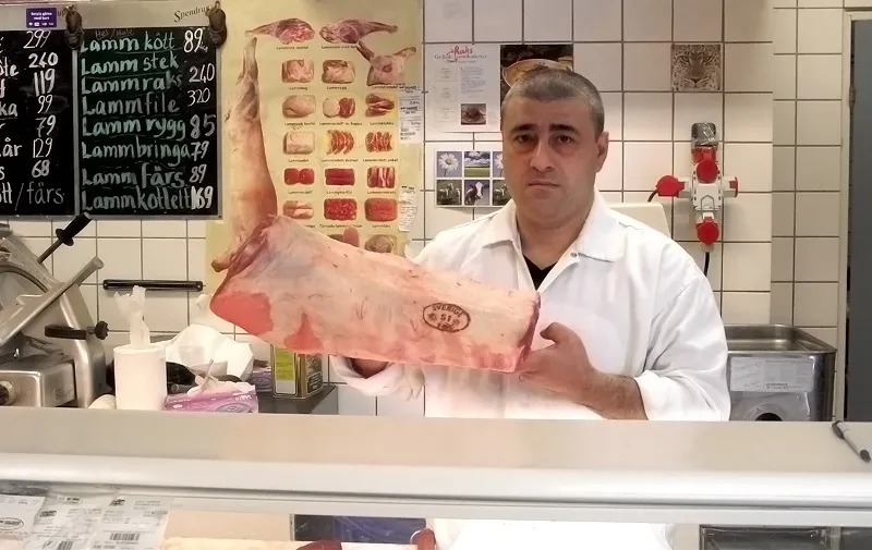 124080.hakans.kott.bild1