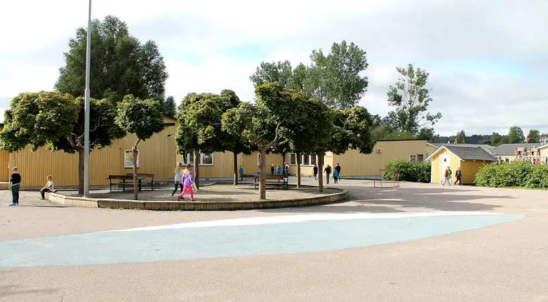 125037-magnetca.education.ild1