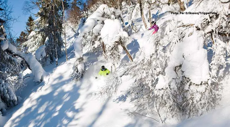 126001.klovjo2tjejer_Foto_Per_Eriksson_Triggerfoto