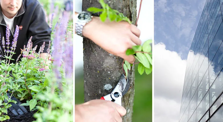 131013_sefabgruppen1