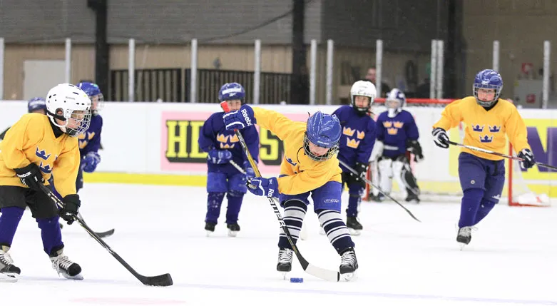 131024_svenskaishockeyforbundet1