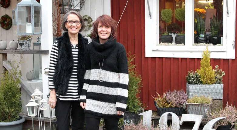 131051_maggansdjungelkiosk