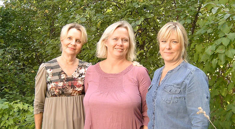 131076_3systraromsorg