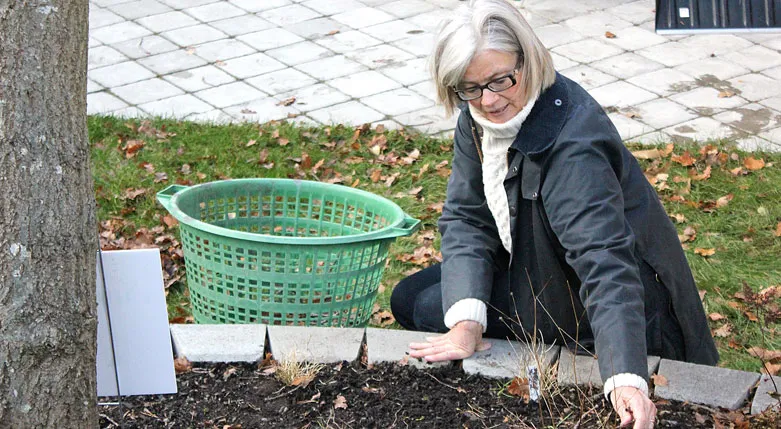 131100_seniortjansterisollentuna