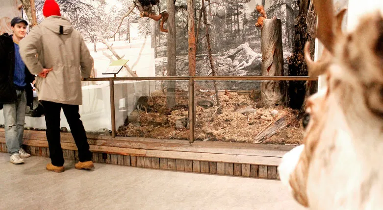 131119_skellefteamuseum