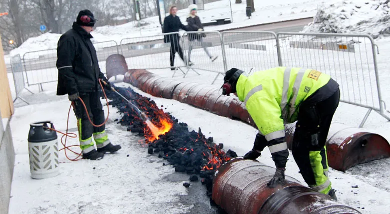 131137_tradgardsanlaggarehallblom