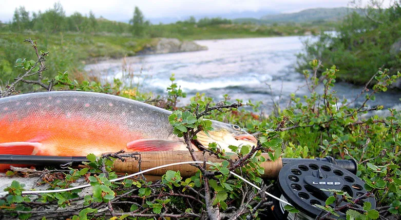 131149_storasjofallet1