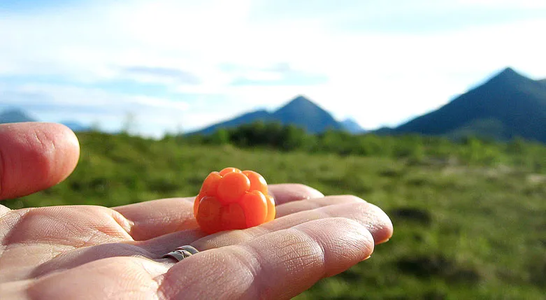 131149_storasjofallet2