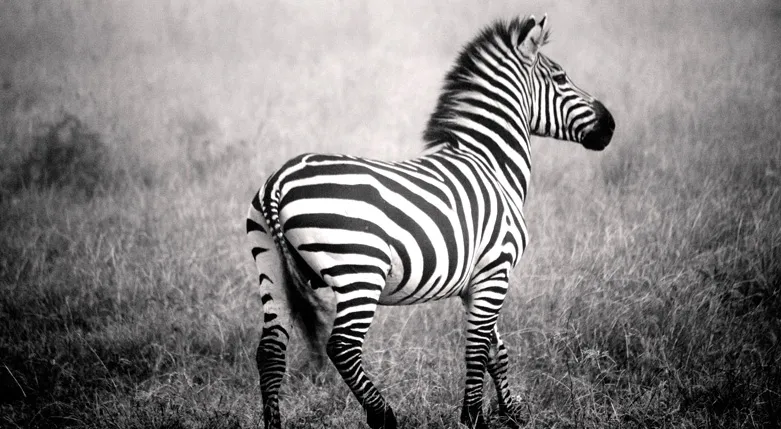 132009_africanatravel1