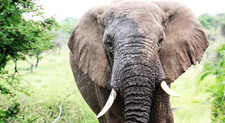 132009africanatravel3