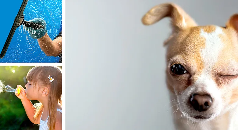 132046sundbergshusochhemsrvice2