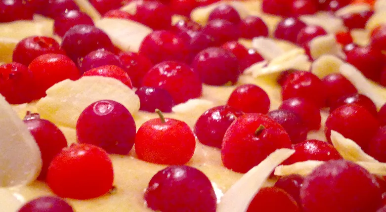 132131essenceoflapland2