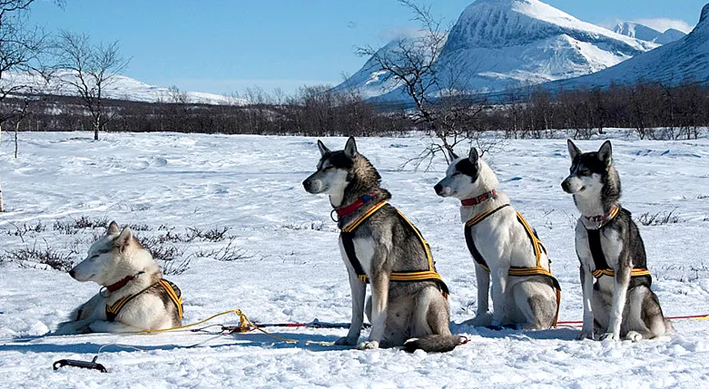 132140positionjokkmokk67nord2