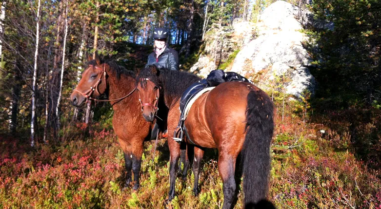 132143vajalridesapmi