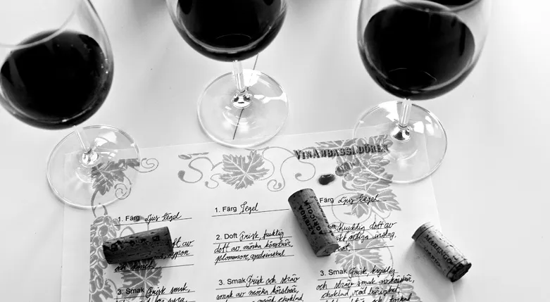 132165vinambassadoren