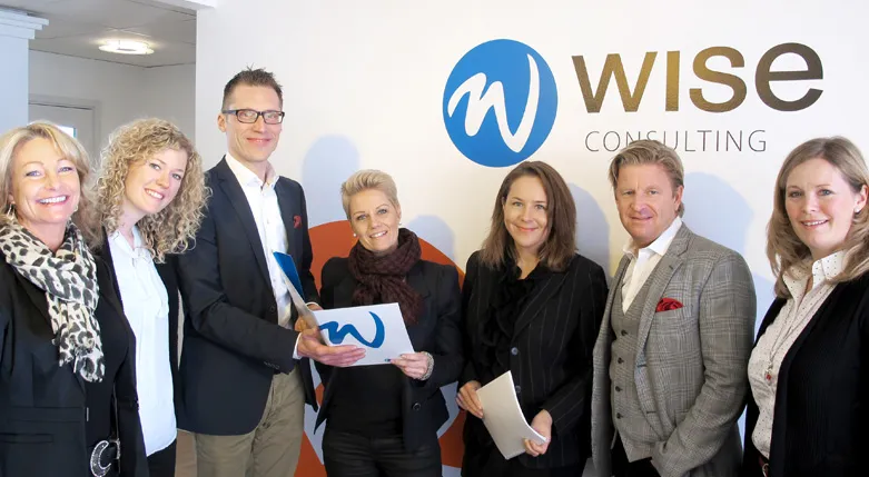 132169wiseconsulting