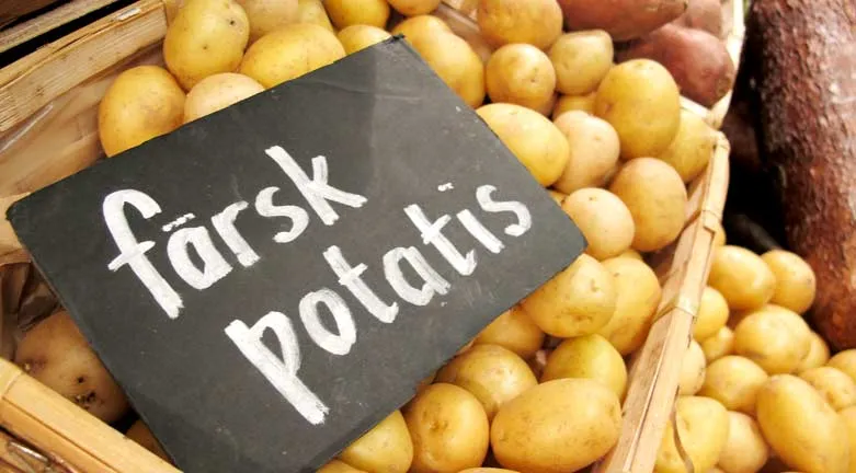 133080.sandinsfruk.2