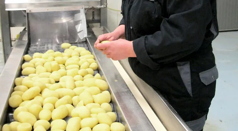 133115.alborga.potatis.1