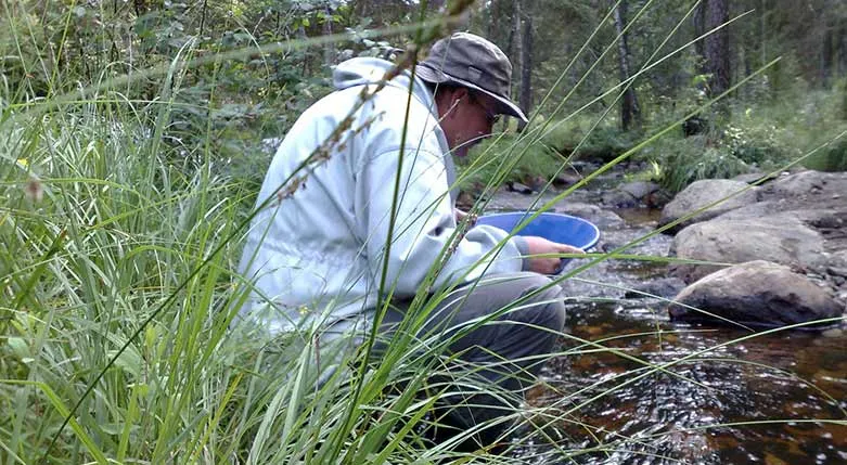 134136_utposten_guldvaskning