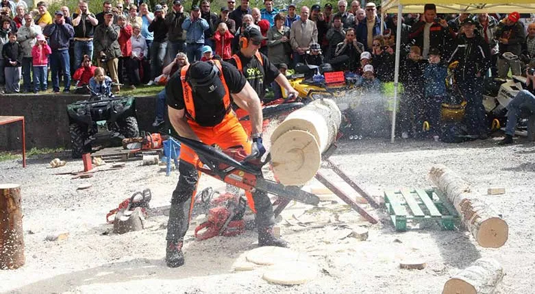 134043_mickes_skog_tradgard