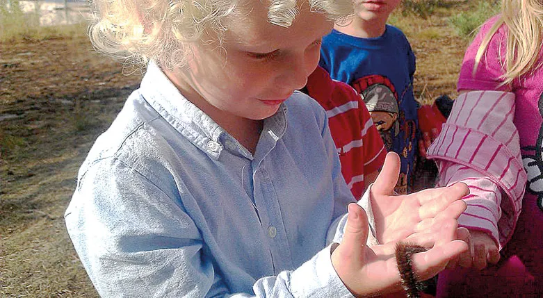 135026forskolalillanacka