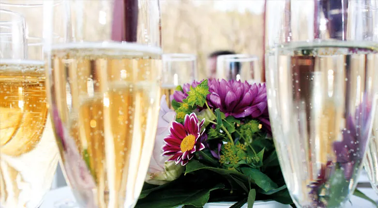 135084lillatyresopensionat1