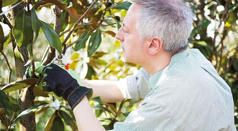 135119dailybreadcoachandstaff2