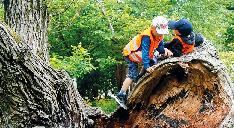 135143sjumilaskogensforskola1