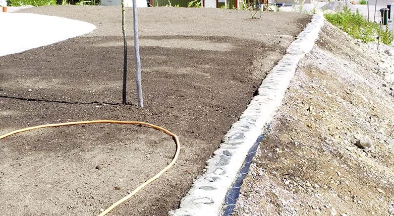 141068-MickeHillberg