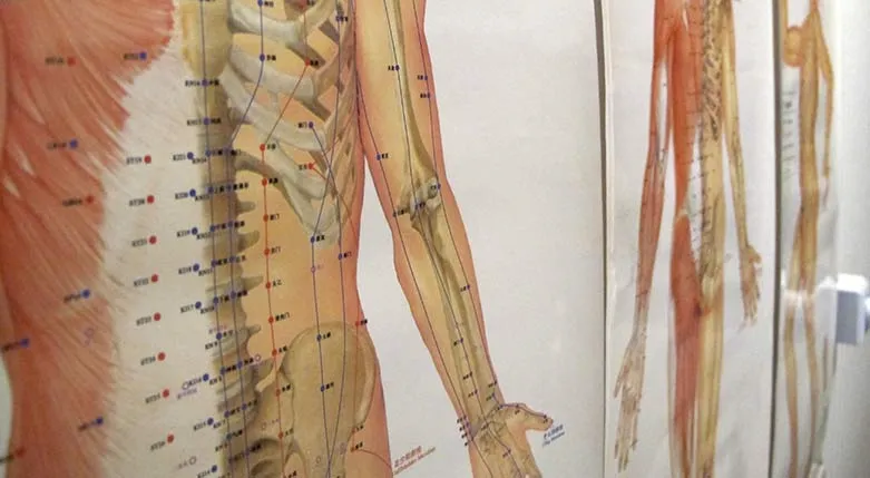 141121-NaturligHalsa