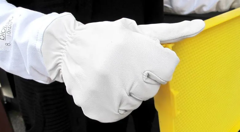 142048-JarboBiodlar2