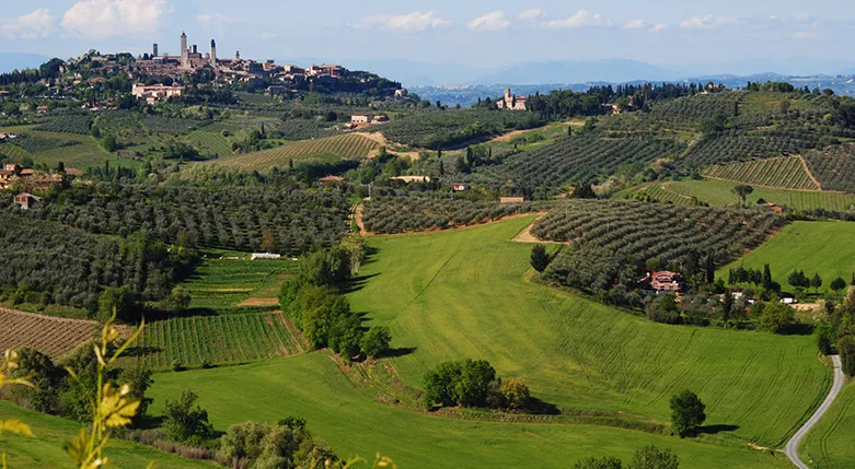 143139---Fattoria-Voltrona