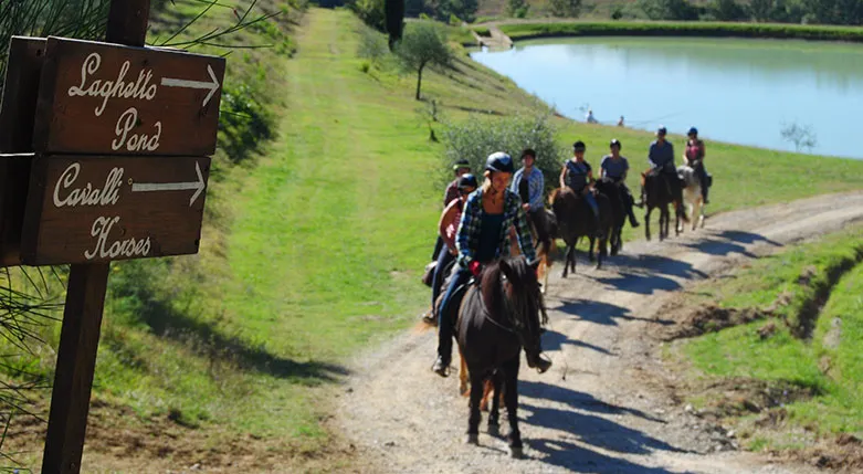 143139---Fattoria-Voltrona4