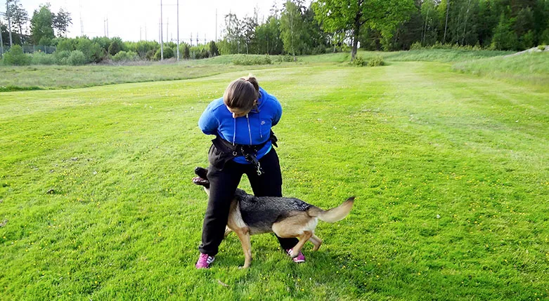 144074-Lydiga-Tassar2