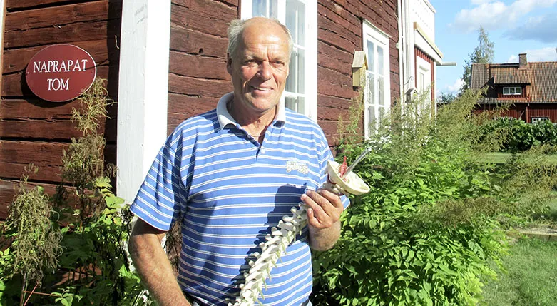 141048W-tomFalkinger