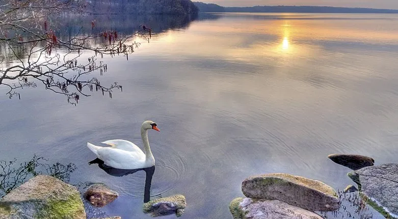 141036-bildFrFreeImages