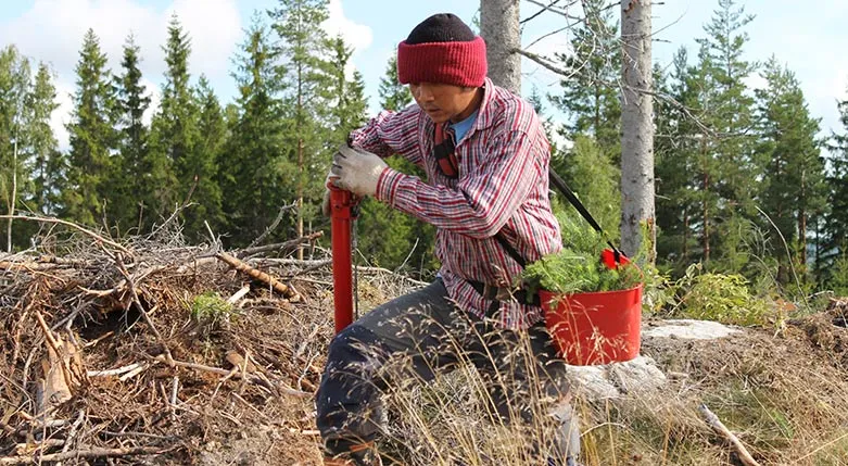 141017Wdalakvalitets