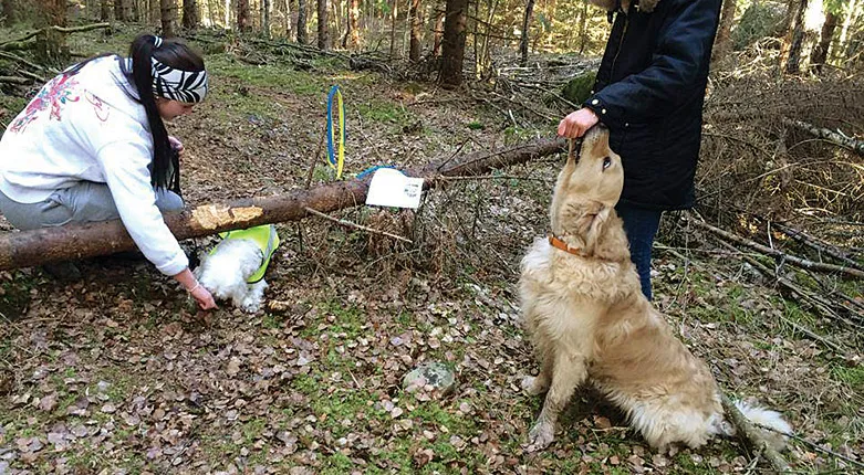 146023---Osby-Naturbruksgymn2