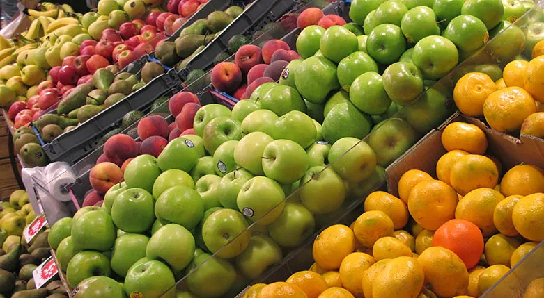 146036---Ica-Nara-Skarpnack