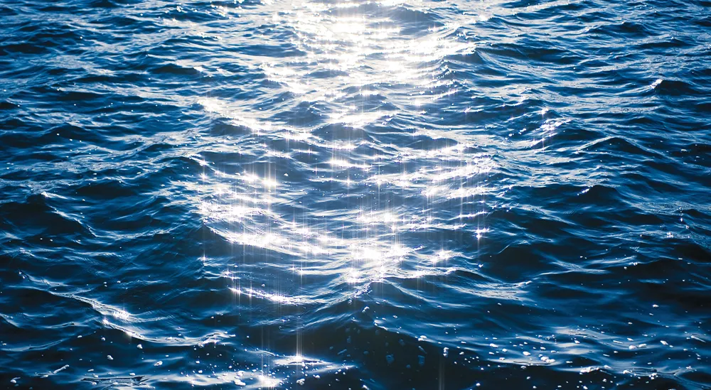 152085-AnderssonMunkertBegravningsbyra