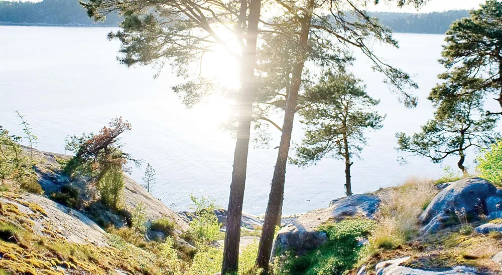 152085-AnderssonMunkertBegravningsbyra2