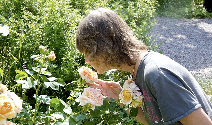 151065-grönträdgård2