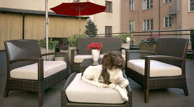 153005-WellingtonHotel1