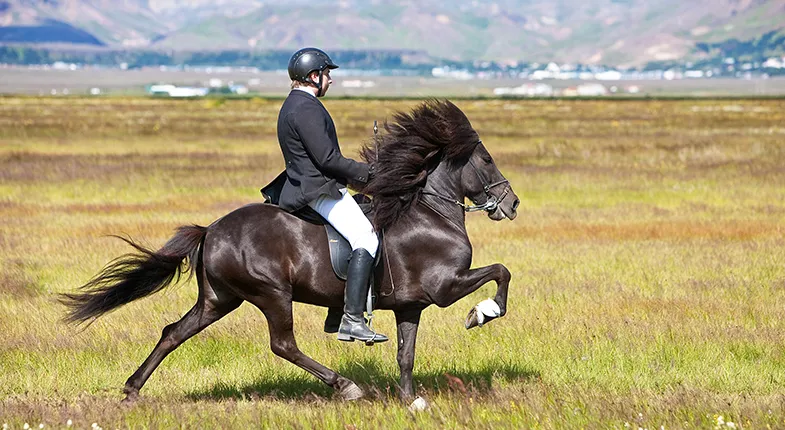 153065-IslandiaResor2